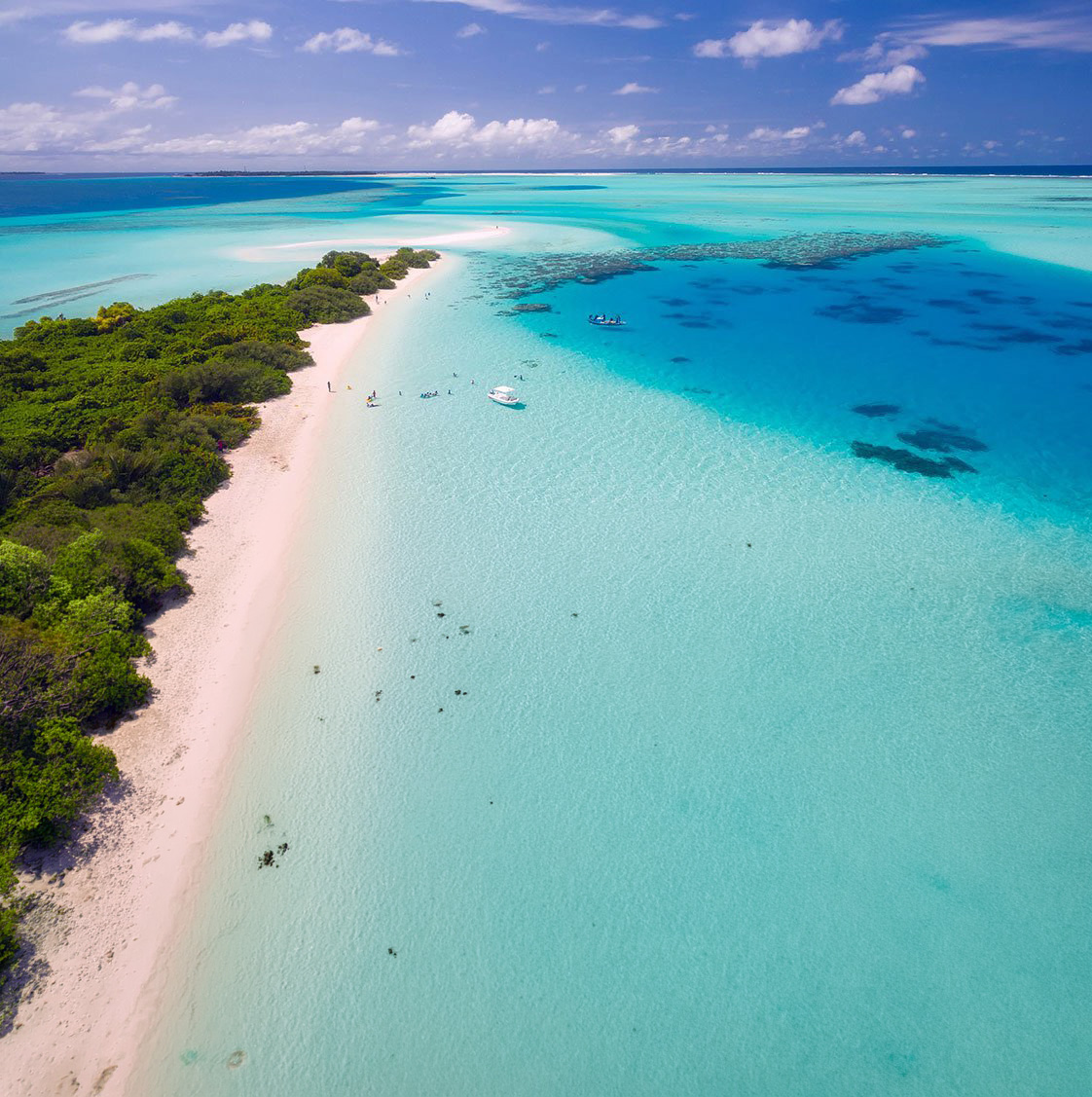 Maldivene med turkist hav og tropisk strand